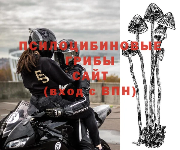 дурь Беломорск