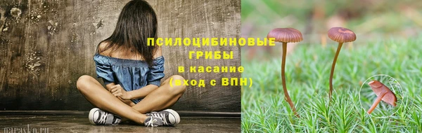 наркотики Белокуриха